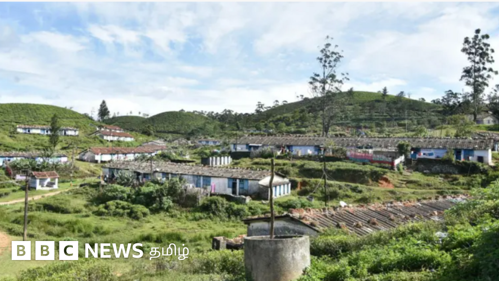 ‘நான்கு தலைமுறை வாழ்ந்த மாஞ்சோலை எஸ்டேட்டை விட்டு எங்கே போவது?’ - தொழிலாளர்கள் சொல்வது என்ன?