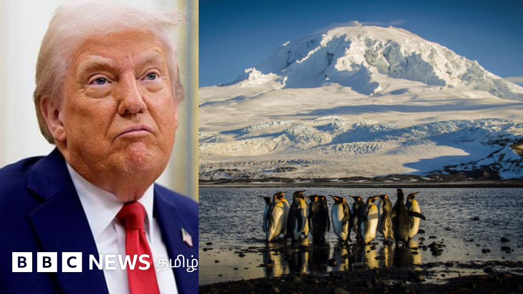 ஆளே இல்லாத 2 தீவுகளுக்கு 10% வரி விதித்த டிரம்ப் - உலகத் தலைவர்கள் கூறியது என்ன?