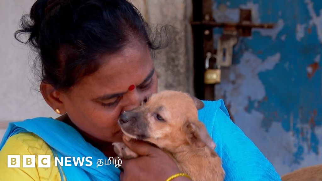 இது என் அப்பாவின் வார்த்தைகளுக்காக செய்யும் சேவை: 130 தெரு நாய்களை பராமரிக்கும் சென்னை பெண்