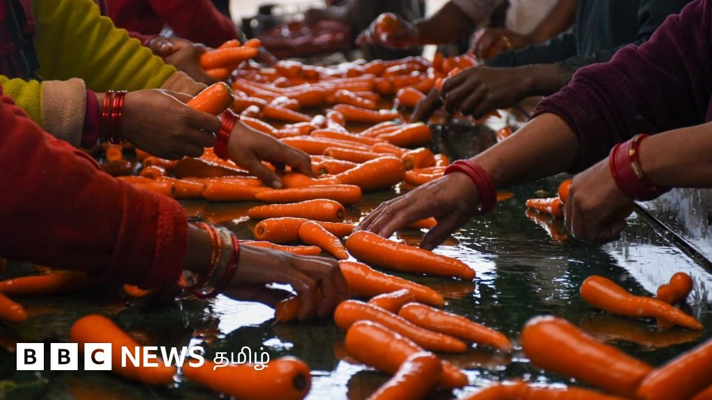 கர்நாடகா கேரட்டை 'பாலிஷ்' செய்து ஊட்டி கேரட் என விற்பதாக புகார் - நீலகிரி விவசாயிகளுக்கு என்ன பாதிப்பு? 