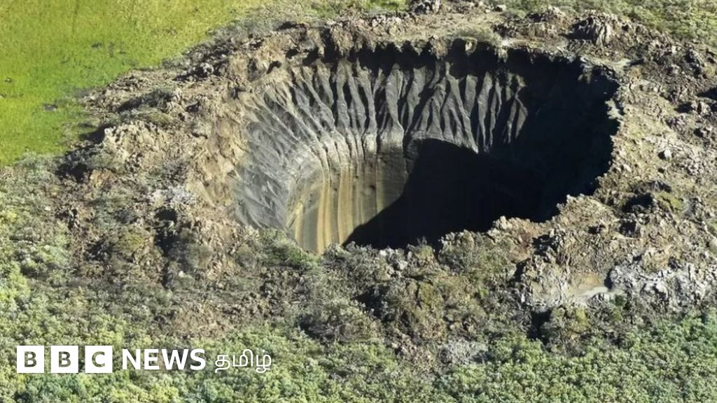 காலநிலை மாற்றத்தால் பெண்ணாக மாறும் ஆண் உயிரினங்கள் - ஆபத்தான அதிசயம்