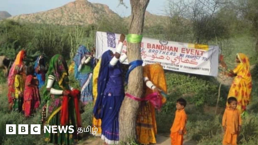 பலகோடி ரூபாய் மதிப்புள்ள மரத்தைப் பாதுகாக்கப் போராடும் பாகிஸ்தான் பெண்கள் - காணொளி