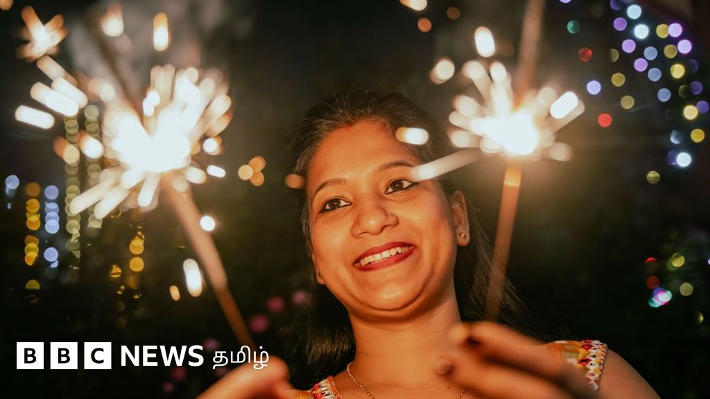 இந்தியாவில் பட்டாசை  அறிமுகப்படுத்தியது மொகலாயர்களா?