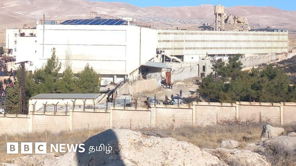 சைத்னயா சிறை: சிரியாவில் அசத் ஆட்சியை எதிர்த்தவர்களை துன்புறுத்திய கொடூர சிறை