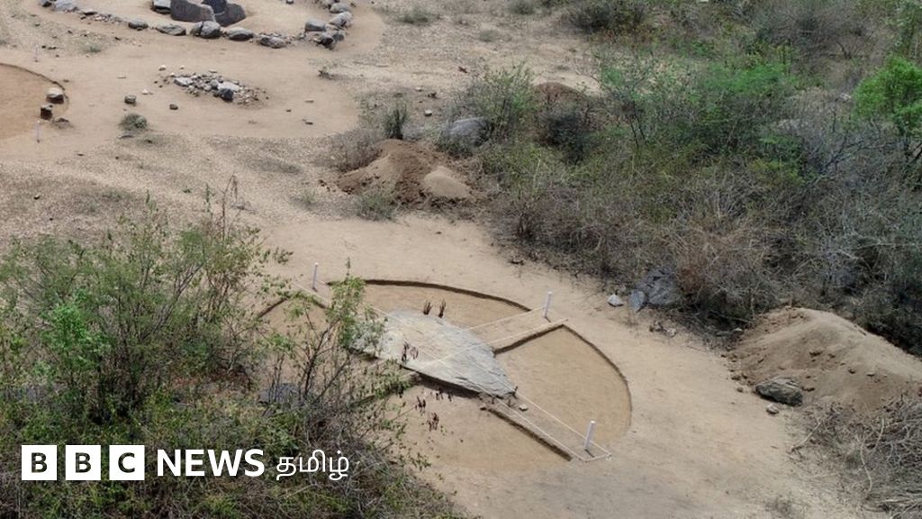 தமிழ்நாட்டில் இரும்பின் பயன்பாடு குறித்த ஆய்வு: வரலாற்றில் ஏன் முக்கியம்?