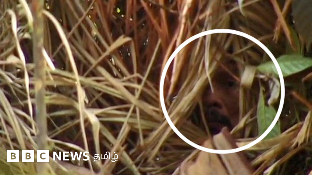 குழி மனிதன் மரணம்: 26 ஆண்டுகள் காட்டுக்குள் தனிமையில் வாழ்ந்த மர்ம நபர்