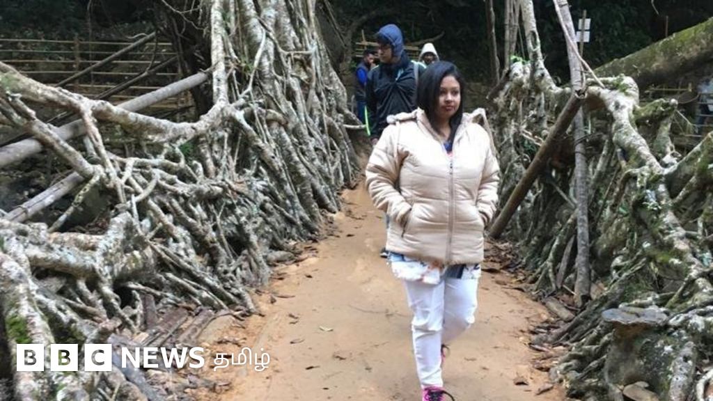 மேகாலயா பழங்குடிகள் உருவாக்கிய உயிருள்ள வேர்ப் பாலம்: அதிசயத்தை உலகுக்கு சொன்ன தமிழர்