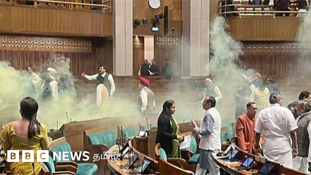 நாடாளுமன்றம்: அத்துமீறி நுழைந்த 6 பேரை எதிர்க்கட்சியுடன் தொடர்புபடுத்த சித்ரவதையா? என்ன நடந்தது?