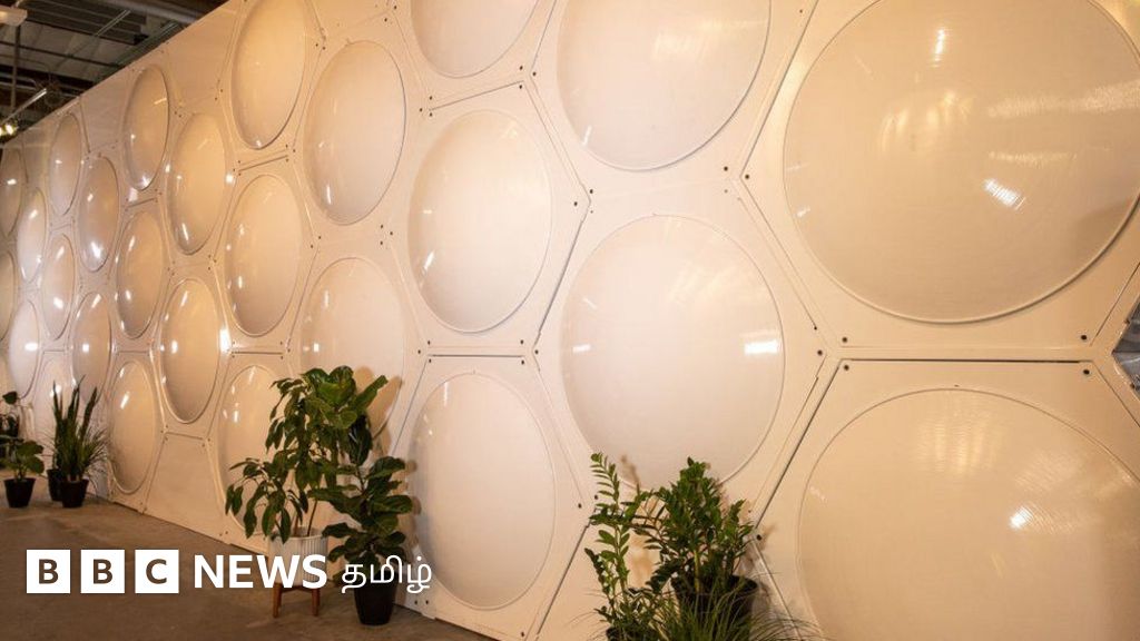 நியூயார்க்கில் இறந்து போன மனிதர்களின் உடல்களை உரமாக்க அனுமதி