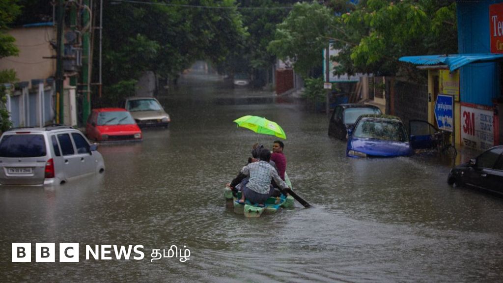 மழைக்காலப் பூஞ்சை: கட்டடங்களுக்கு என்ன பாதிப்பு? உடலுக்கு என்ன சிக்கல்?