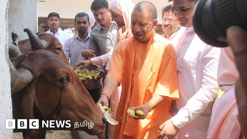 யோகி அரசின் பசு ஆம்புலன்ஸ், விந்து தொழில்நுட்ப சேவை - டிசம்பரில் அமல்