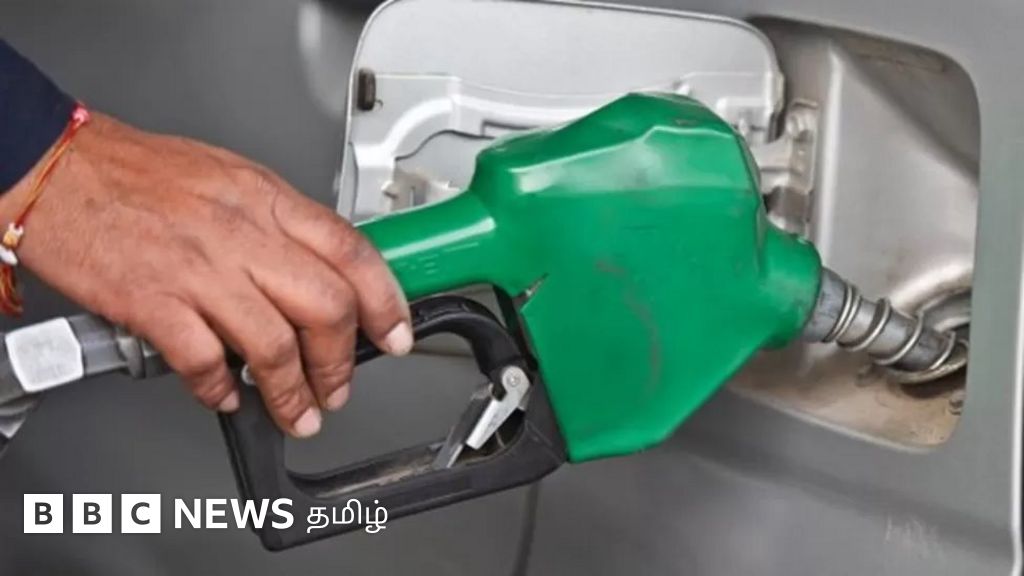 எரிபொருள் கொள்முதலுக்கு இந்தியாவிடமிருந்து மேலதிக கடன் பெற எதிர்பார்த்துள்ளோம் - இலங்கை அமைச்சர்