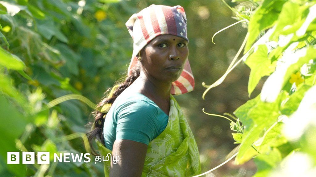 தமிழ்நாட்டு கர்ப்பிணி பெண்களுக்கு அதிக வெப்பத்தால் கருச்சிதைவு ஆபத்து அதிகரிப்பு -  புதிய ஆய்வு முடிவுகளால் அதிர்ச்சி