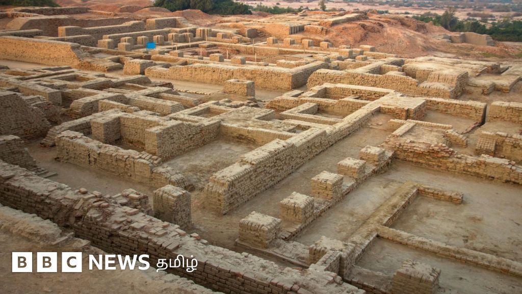 சிந்து சமவெளி நாகரிக குறியீடுகளின் ரகசியம் என்ன? முத்திரைகளில் மத அடையாளமா? 
