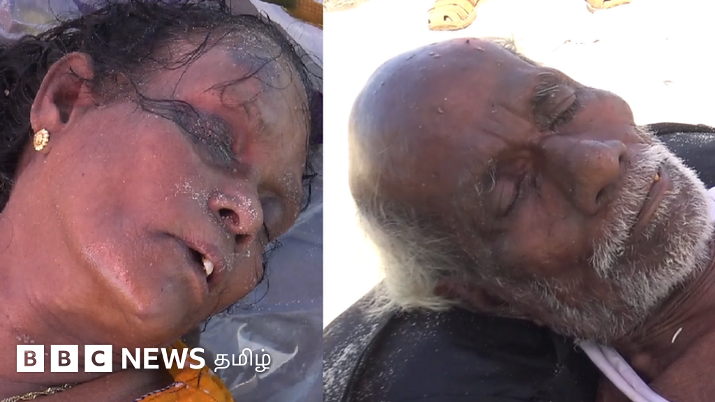 இலங்கை பாட்டி மரணம் - தமிழ்நாட்டில் கணவருடன் தஞ்சம் அடைந்தவர்