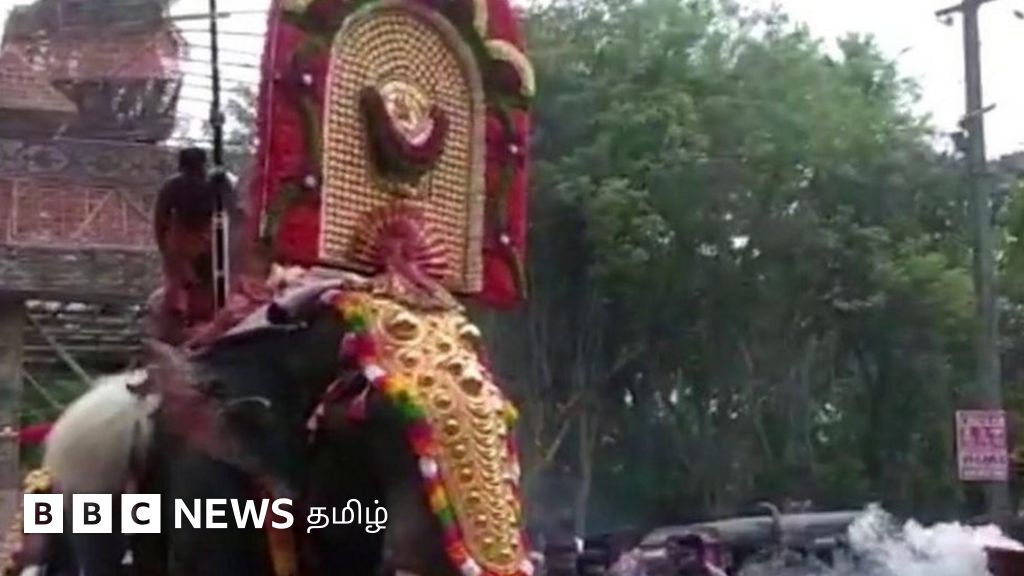 பாலக்காட்டில் வண்ணத் திருவிழா