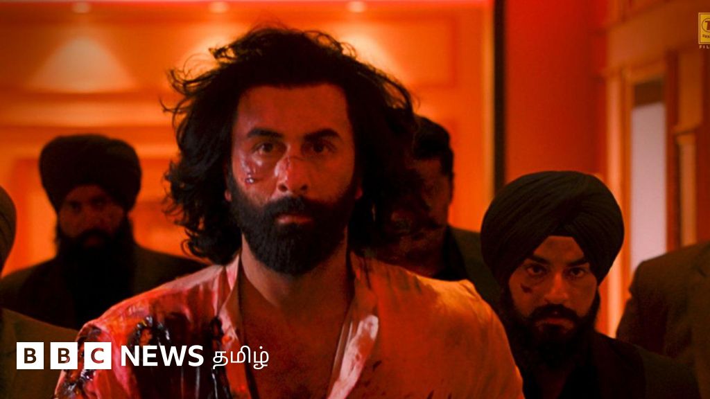 அனிமல்: ஆல்ஃபா ஆண்கள், ரத்தம் தெறிக்கும் ஆணாதிக்கம் நிறைந்த திரைப்படம்