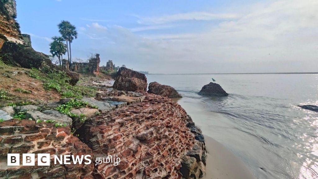 சென்னை: ஆலம்பரைக் கோட்டைக்கும் டெல்லியை ஆண்ட முகலாயருக்கும் என்ன தொடர்பு?