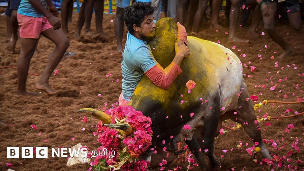 அவனியாபுரம் ஜல்லிக்கட்டு நடத்துவதில் பிரச்னை - சாதி குறுக்கிடுகிறதா?