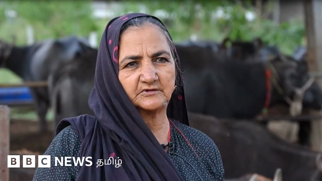 எருமை பால் வியாபாரத்தில் கோடிகளை சம்பாதிக்கும் மூதாட்டி