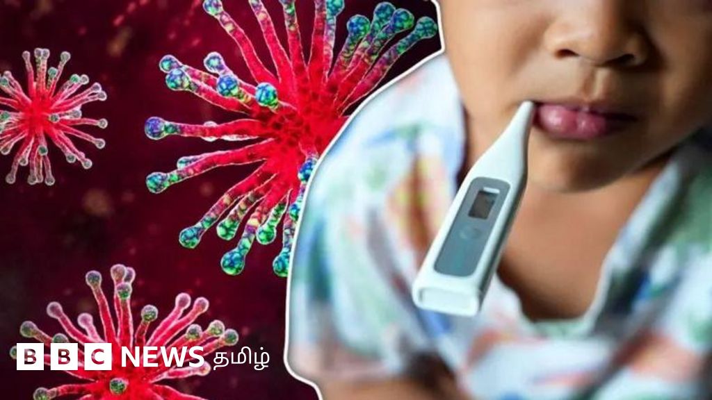 குஜராத்தில் குழந்தைகளின் உயிரைப் பறித்த 'சந்திபுரா வைரஸ்' - பரவாமல் தடுக்க என்ன செய்ய வேண்டும்?