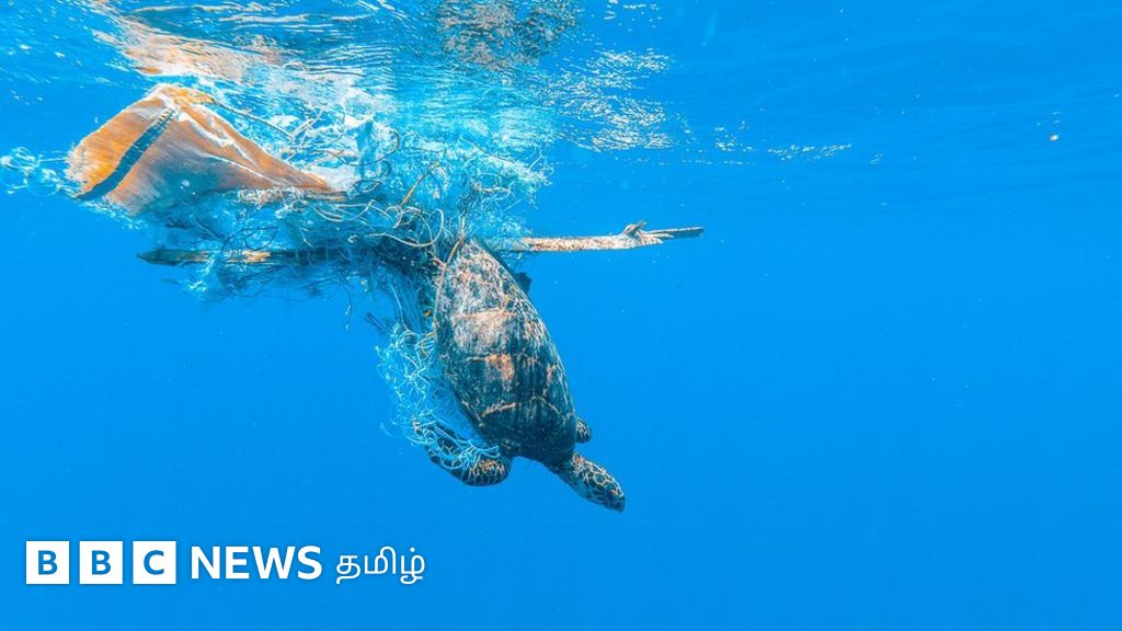 கடலில் ஒரு ட்ரில்லியன் பிளாஸ்டிக் குப்பைகள்: உயிர்க் குலத்தை அச்சுறுத்தும் 'மிதக்கும் நோய்'