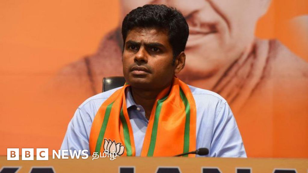 தமிழ்நாடு தேர்தல் முடிவுகள்: அதிமுகவின் வாக்குகள் பாஜக பக்கம் திரும்பியுள்ளதா?