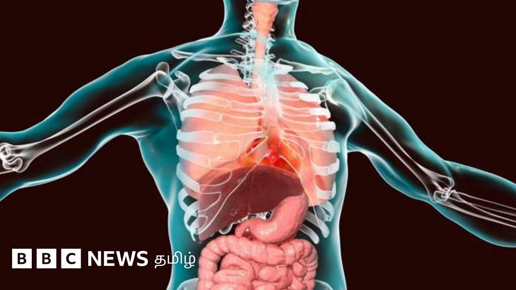 உங்கள் இதயம் தலைகீழாக அமைந்திருந்தால் என்னவாகும்? இந்த நிலையைக் குணப்படுத்த முடியுமா?