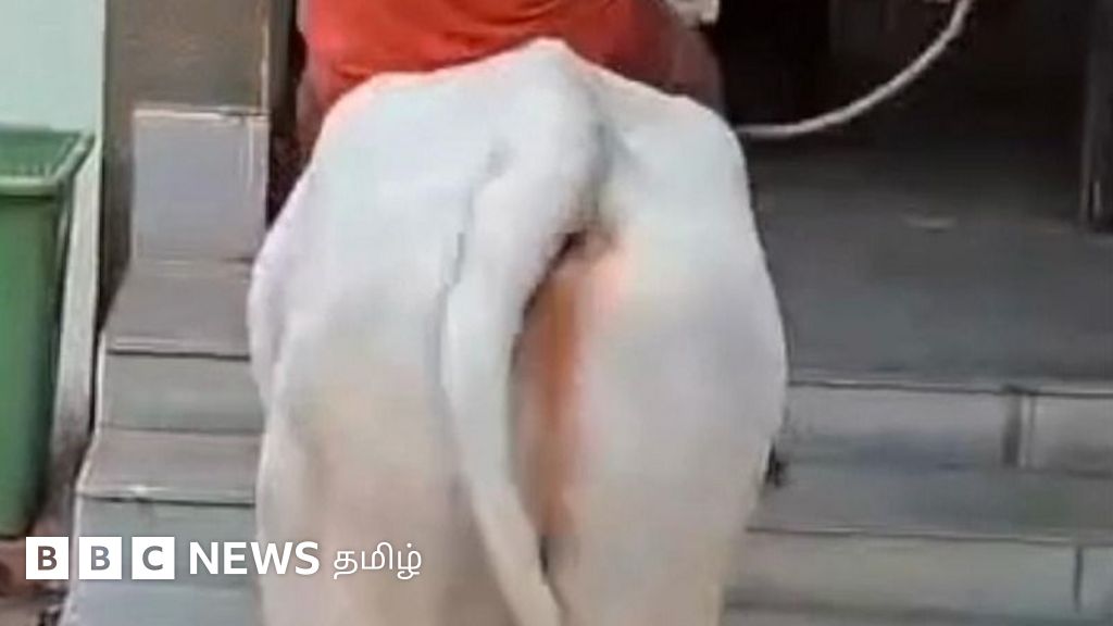 மாடு மீது அமர்ந்து அரசு அலுவலகம் சென்ற விவசாயி - ஏன்?