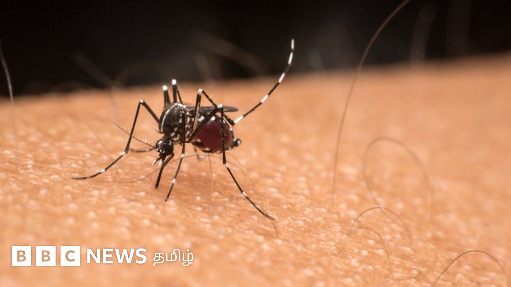 காலநிலை மாற்றம் நோய் பரவும் அபாயம் எவ்வாறு அதிகரிக்கிறது? மனிதகுலத்திற்கான அச்சுறுத்தல் என்ன?