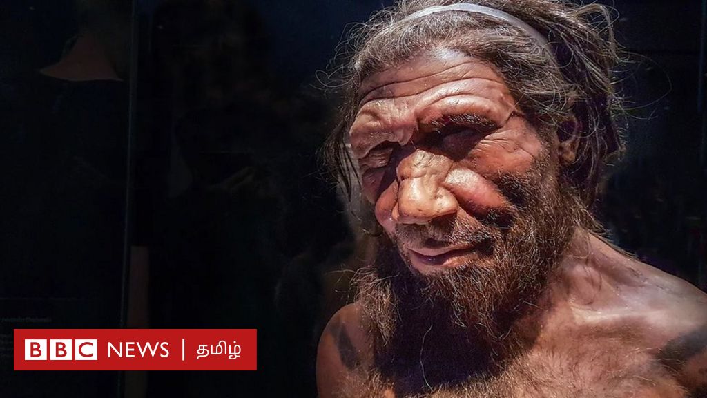 புதிர் வரலாறு: நியாண்டர்தால்களுடன் உடலுறவு கொண்ட நவீன மனிதன் - அதிர்ச்சி கண்டுடிப்புகள்