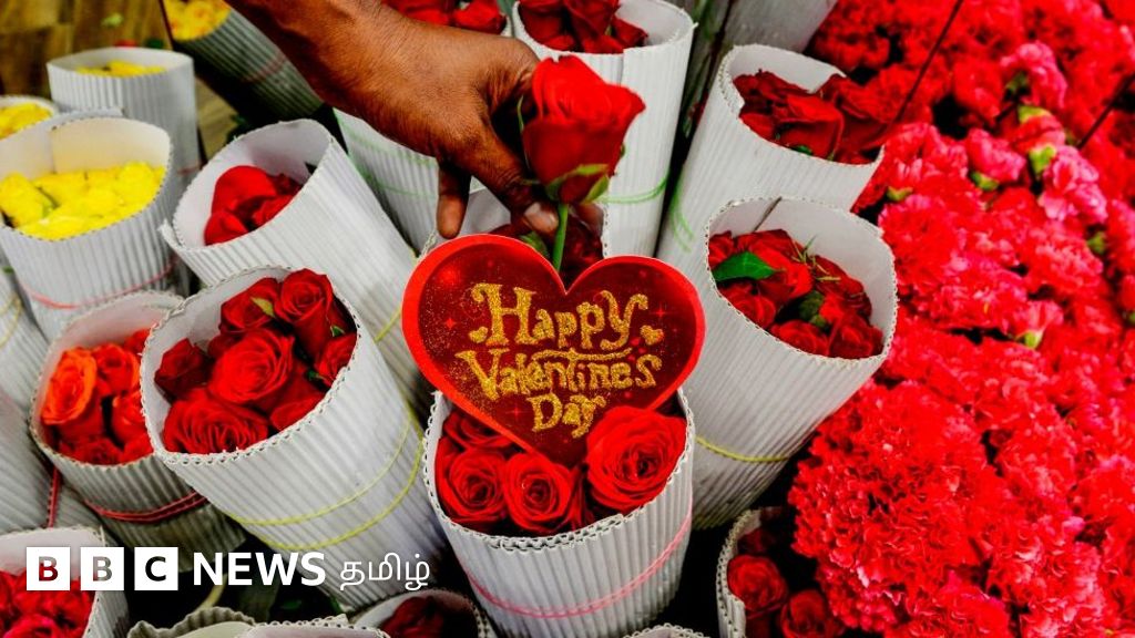 ரோஜாப் பூ: அதிகரித்துள்ள வருமானம் மகிழ்ச்சியில் ‘லிட்டில் இங்கிலாந்தின்’ விவசாயிகள்