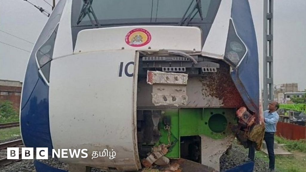 எருமை மாடுகள் கூட்டம் மீது மோதிய வந்தே பாரத் ரயில் சேதம்