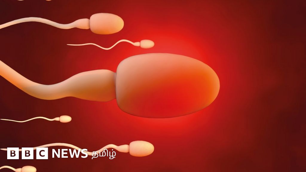 பாலியல் கல்வி: சுய இன்பம் செய்யாமலே இருந்தால் என்ன ஆகும்? கட்டுக்கதைகளும் அறிவியல் உண்மைகளும்