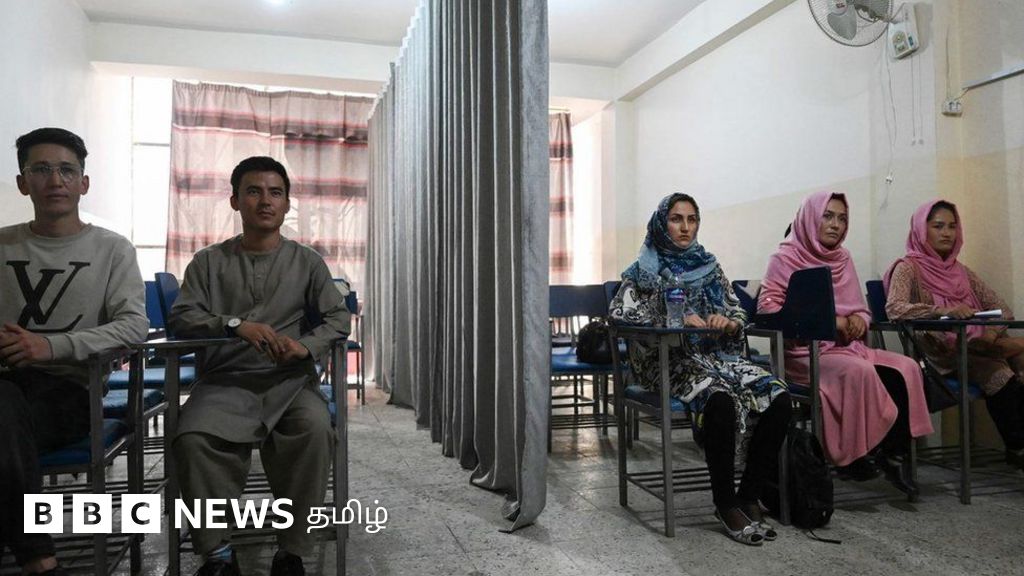 ஆப்கானிஸ்தான் பெண்கள் உயர்கல்வி கற்க தாலிபன் தடை; ஐ.நா. கவலை