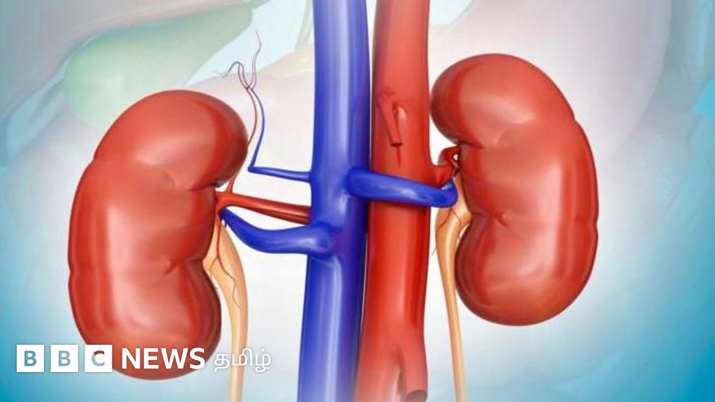 சிறுநீரில் நுரை வருகிறதா? ஆபத்தை உணர்த்தும் 5 அறிகுறிகள்