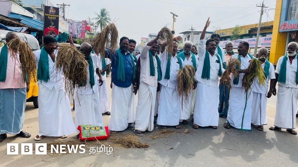 தமிழ்நாடு விவசாயிகளின் நெற்பயிர்கள் பருவம் தப்பிப் பெய்த மழையால் சேதம் - அரசின் நிவாரணம் போதுமானதா?