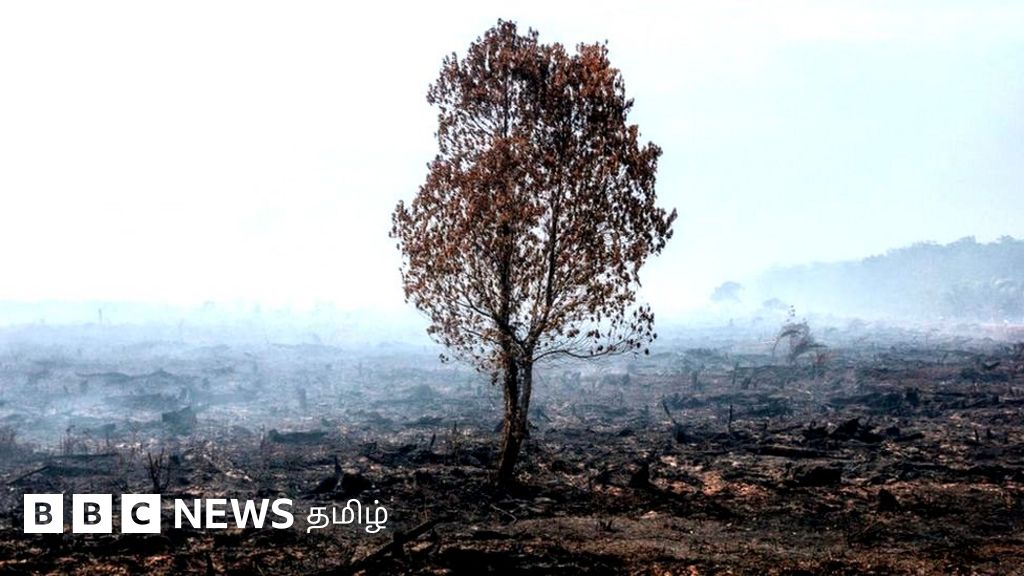 COP26 காலநிலை மாநாடு: 'பூமியின் வெப்பநிலை உயர்வு 2.4 டிகிரி செல்சியஸை நோக்கிச் செல்கிறது'