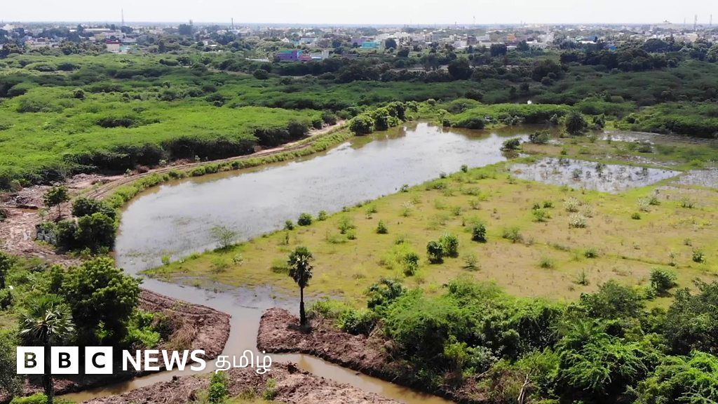 வறட்சியைப் போக்க கால்வாயை மீட்ட இளைஞர்கள்
