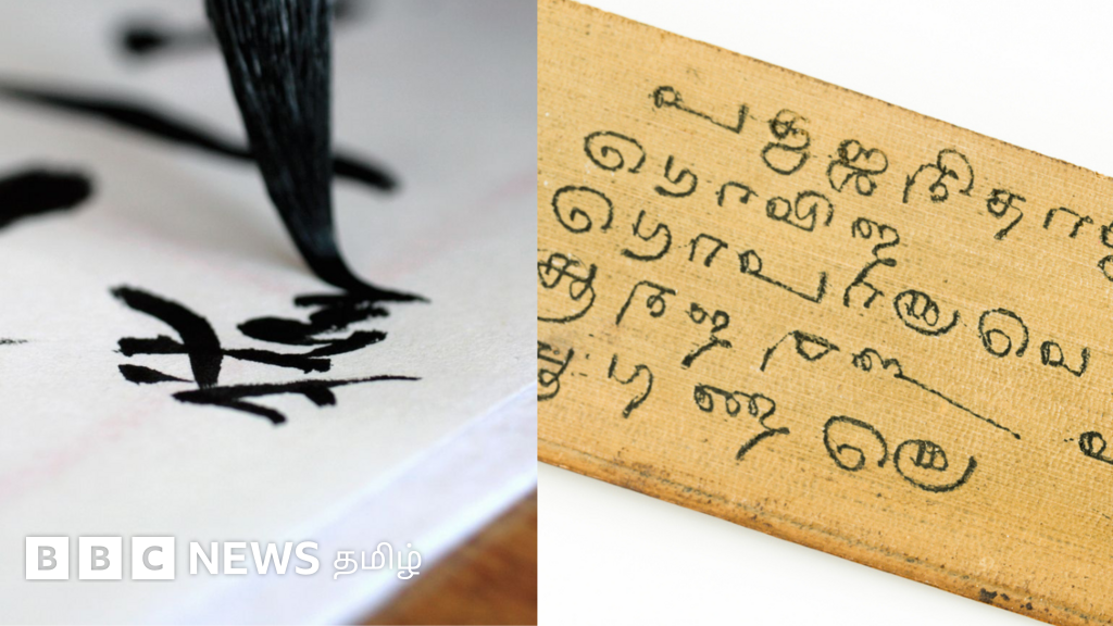 தமிழ் - ஜப்பானிய மொழிகள் இடையே இவ்வளவு ஒற்றுமையா? விளக்கும் மொழியியல் வல்லுநர்கள்