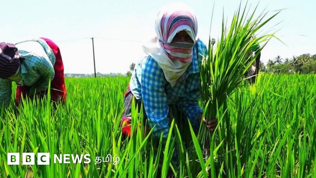கோவை: கிழக்கு புறவழிச்சாலை திட்டத்தால் 1400 ஏக்கர் நிலம் பாதிப்பா? எதிர்க்கும் விவசாயிகள் 