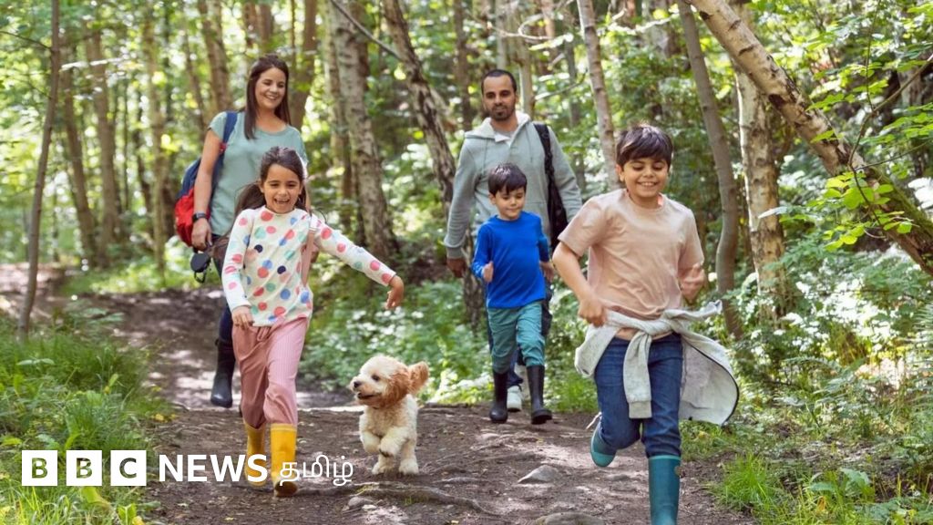 பசுமைச் சூழலில் 20 நிமிடம் – உங்கள் ஆரோக்கியத்தை மேம்படுத்தும் 4 வழிகள்