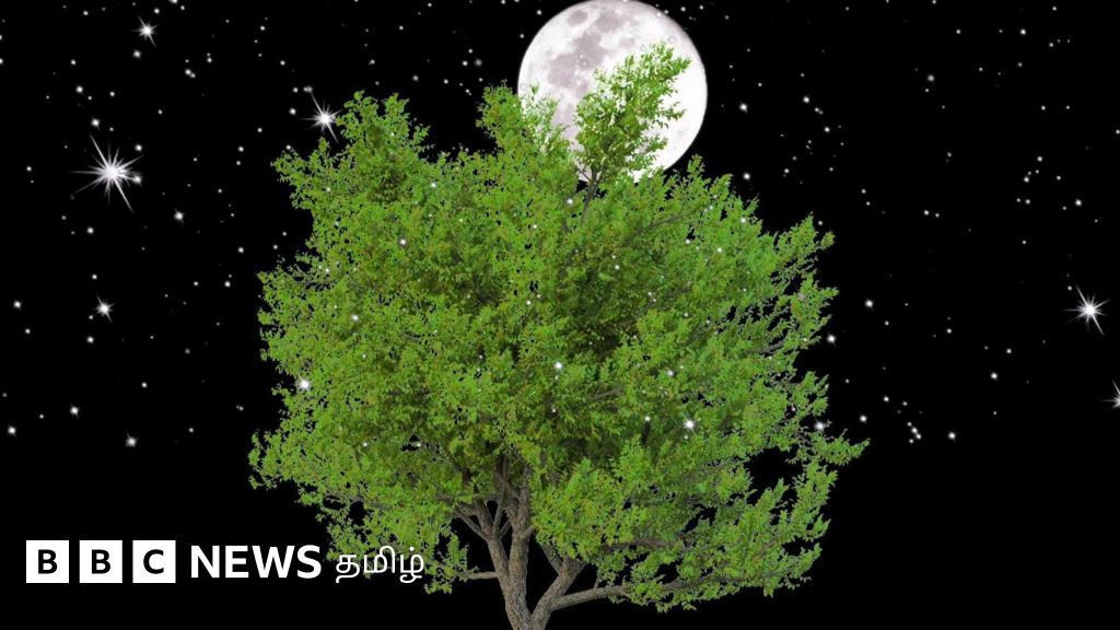 அம்மி மிதித்து அருந்ததி பார்க்கும் சடங்கில் வானியல் தகவல் உள்ளதா? உண்மை என்ன?