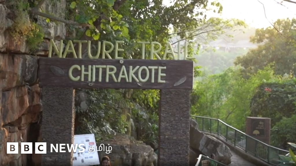 இந்தியாவின் நயாகரா: சூரிய ஒளிக்கு ஏற்ப நிறம் மாறும் நீர்வீழ்ச்சி -இயற்கை விருந்து