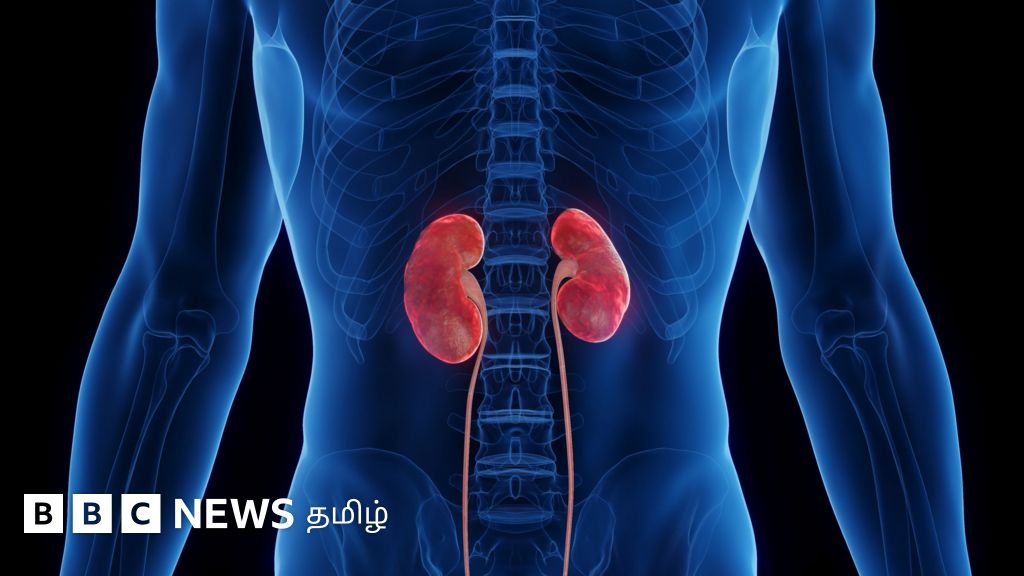 அறிகுறிகளே இல்லாமல் செயலிழக்கும் சிறுநீரகங்கள் - ஆபத்தை தவிர்க்க என்ன செய்யலாம்?