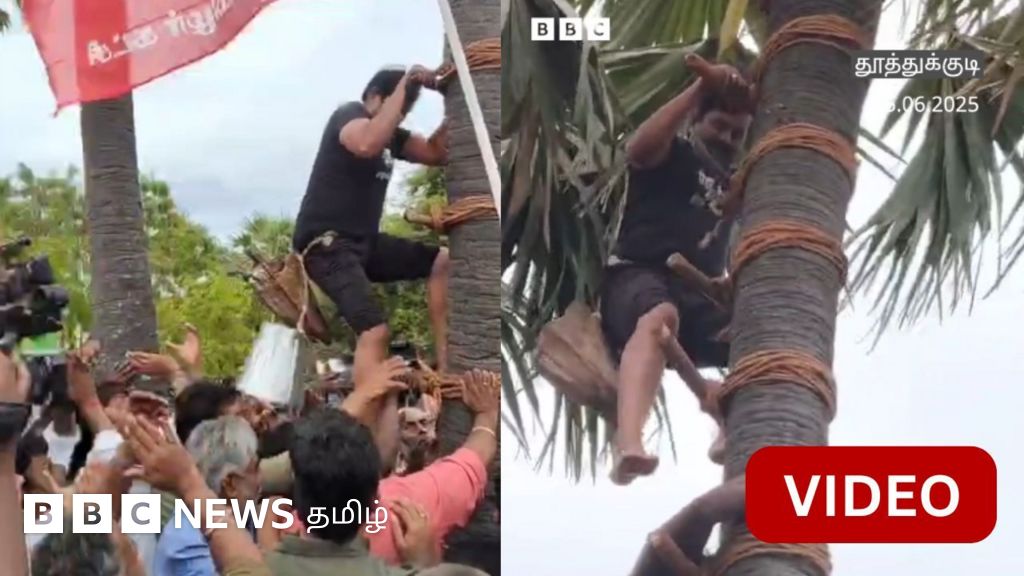 'கள் இறக்கும் போராட்டம்' - பனை மரம் ஏறிய சீமான்