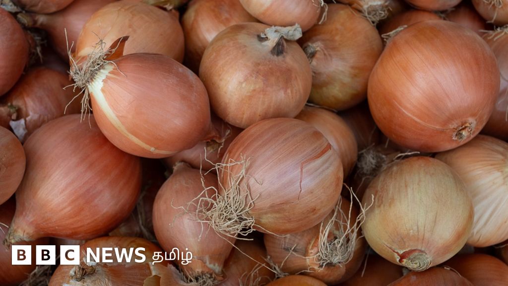 இந்தியா ஐக்கிய அரபு எமிரேட்ஸுக்கு தடையை மீறி வெங்காயம் ஏற்றுமதி செய்வது ஏன்? - காணொளி