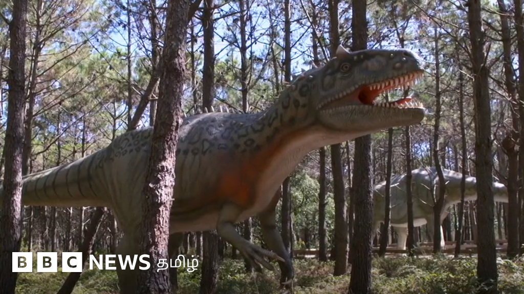 ஆயிரம் கிலோ 'டைனோசர் முட்டைக்கூடு' கண்டுபிடிப்பு - கருவின் எலும்புகளை கண்டறிய முயற்சி