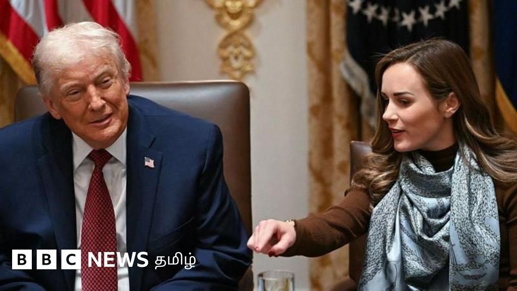 இந்தியா மீது புதிய வரி விதிக்க அமெரிக்கா திட்டமா? அரிசி பற்றிய டிரம்ப் பேச்சால் அச்சம்