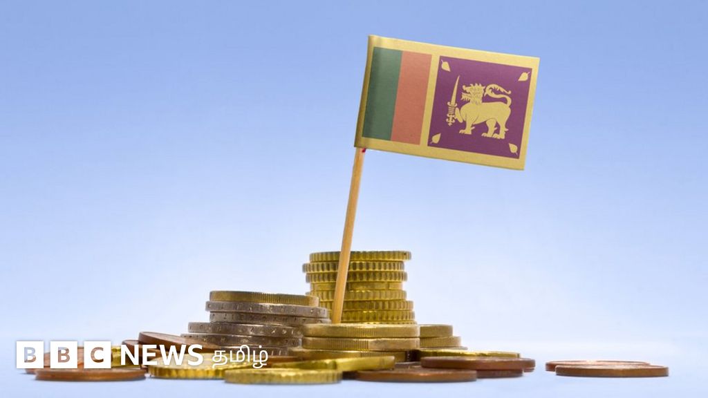 இலங்கை பொருளாதார நெருக்கடி: கையளவு தூரத்தில் உணவு தட்டுப்பாடு - திவாலாகியதா தீவு நாடு?